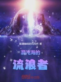 混沌海的流浪者