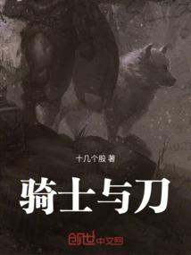 骑士与刀