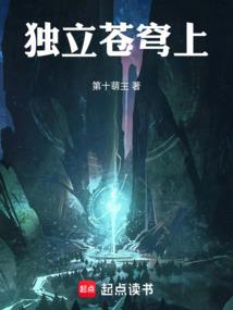 独立苍穹上