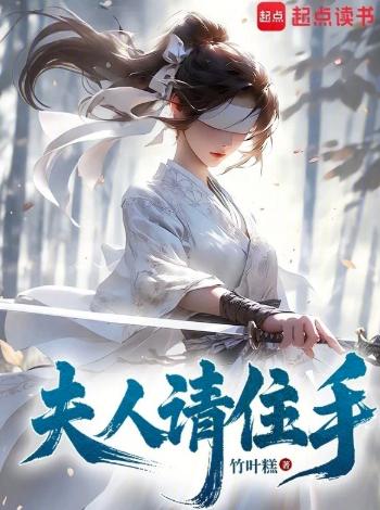 夫人请住手