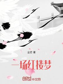 一场红楼梦