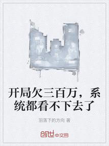 开局欠三百万，系统都看不下去了