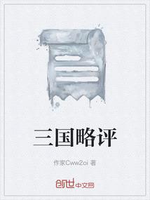 三国略评