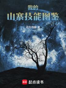 我的山寨技能图鉴