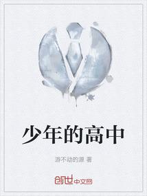 少年的高中