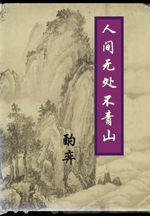 人间无处不青山