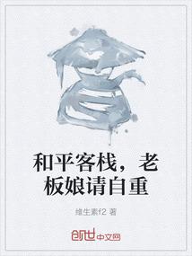和平客栈，老板娘请自重