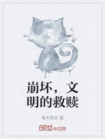 崩坏，文明的救赎
