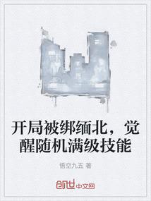 开局被绑缅北，觉醒随机满级技能