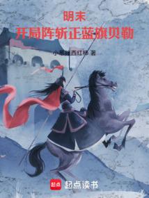 明末：开局阵斩正蓝旗贝勒