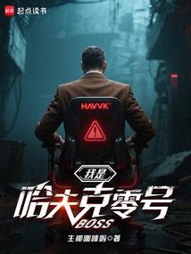 我是哈夫克零号BOSS