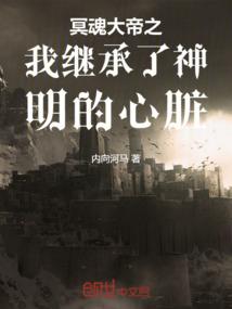 冥魂大帝之我继承了神明的心脏