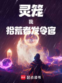 灵笼：我，拾荒者发令官！