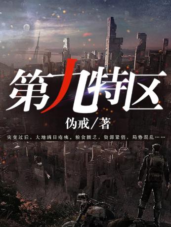 第九特区