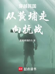 穿越民国从黄埔走向抗战