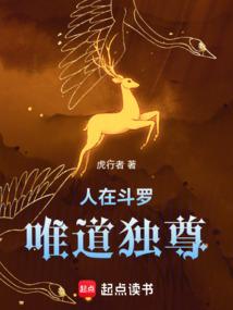 人在斗罗，唯道独尊