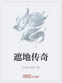 遮地传奇