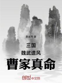三国：魏武遗风，曹家真命