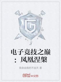 电子竞技之巅：凤凰涅槃