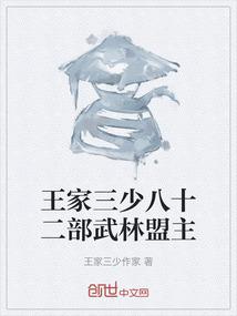 王家三少八十二部武林盟主