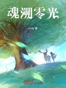 魂溯零光