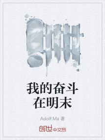 我的奋斗在明末
