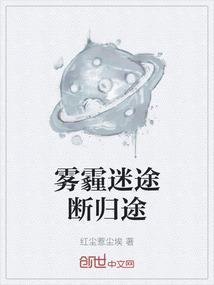 雾霾迷途断归途