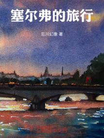 塞尔弗的旅行