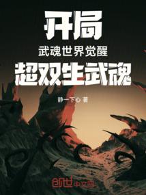 开局武魂世界觉醒超双生武魂