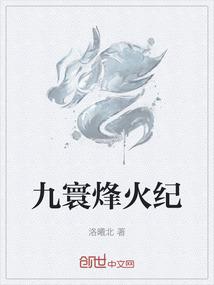 九寰烽火纪