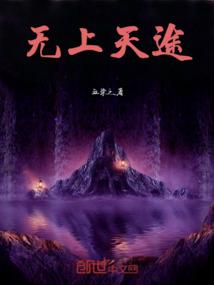 无上天途