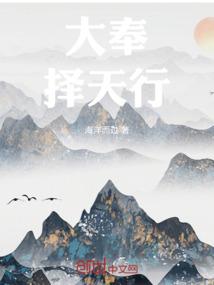 大奉择天行