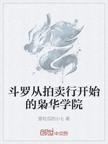 斗罗从拍卖行开始的枭华学院