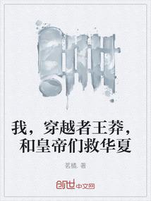 我，穿越者王莽，和皇帝们救华夏