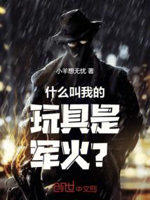 什么叫我的玩具是军火？