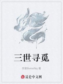 三世寻觅