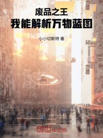 废品之王：我能解析万物蓝图